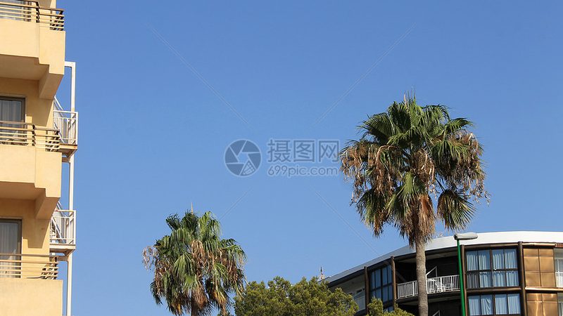 会议预算失控？从一场失败的团建说起